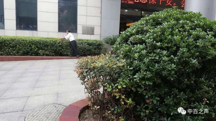 CA88(中国区)官方网站入口