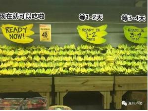 CA88(中国区)官方网站入口