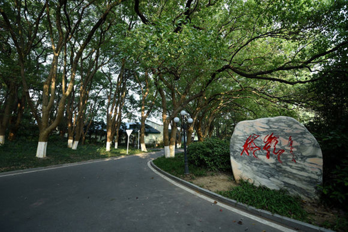 CA88(中国区)官方网站入口