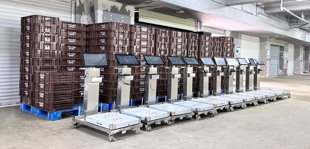 CA88(中国区)官方网站入口